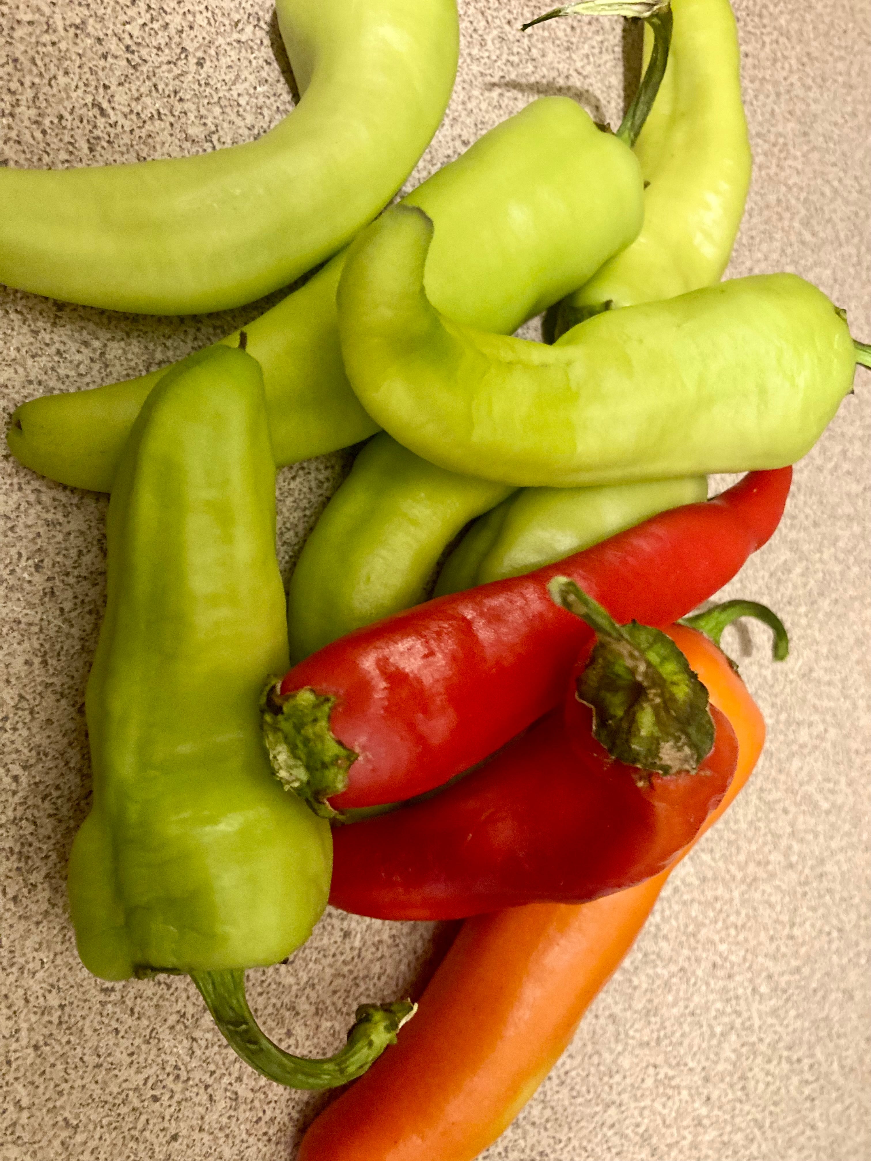 🌶️ Capsicum Sweet Banana Seeds – Sweet, Crunchy & Ridiculously Easy to Grow! 🌶️