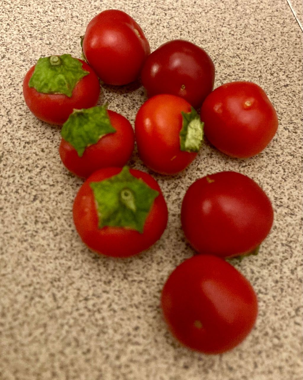 🌶️ Sweet Cherry Capsicum (Red) – Heirloom Seeds 🌶️